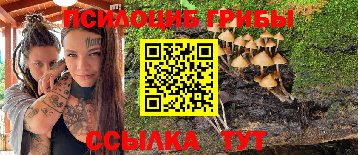 Родники  Галлюциногенные грибы MAGIC MUSHROOMS  Вход с VPN  Галлюциногенные грибы Magic Shrooms 